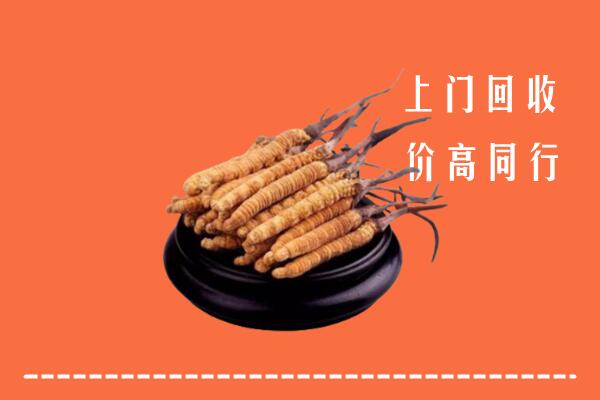高价求购：北京朝阳区回收散虫草