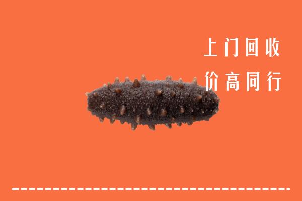 高价求购：北京朝阳区回收海参