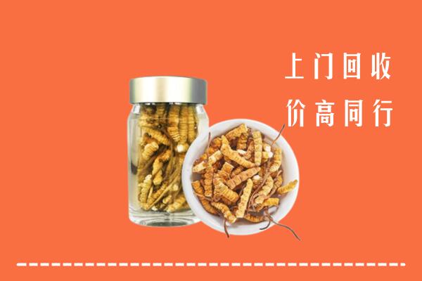 北京朝阳区回收冬虫夏草